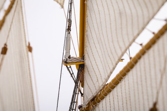 Billing Boats 1:100 Esmeralda Special Edition  -Wooden hull