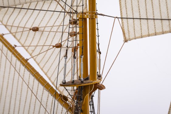 Billing Boats 1:100 Esmeralda Special Edition  -Wooden hull