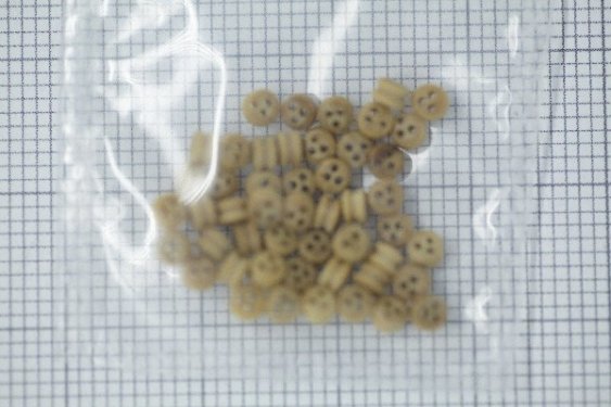 Billing Boats TRÆJOMFRU 2MM /50